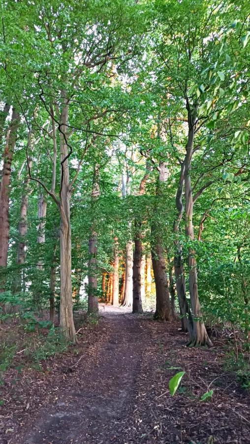 Herrenhaus Harmshagen Testorf-Steinfort Kültér fotó